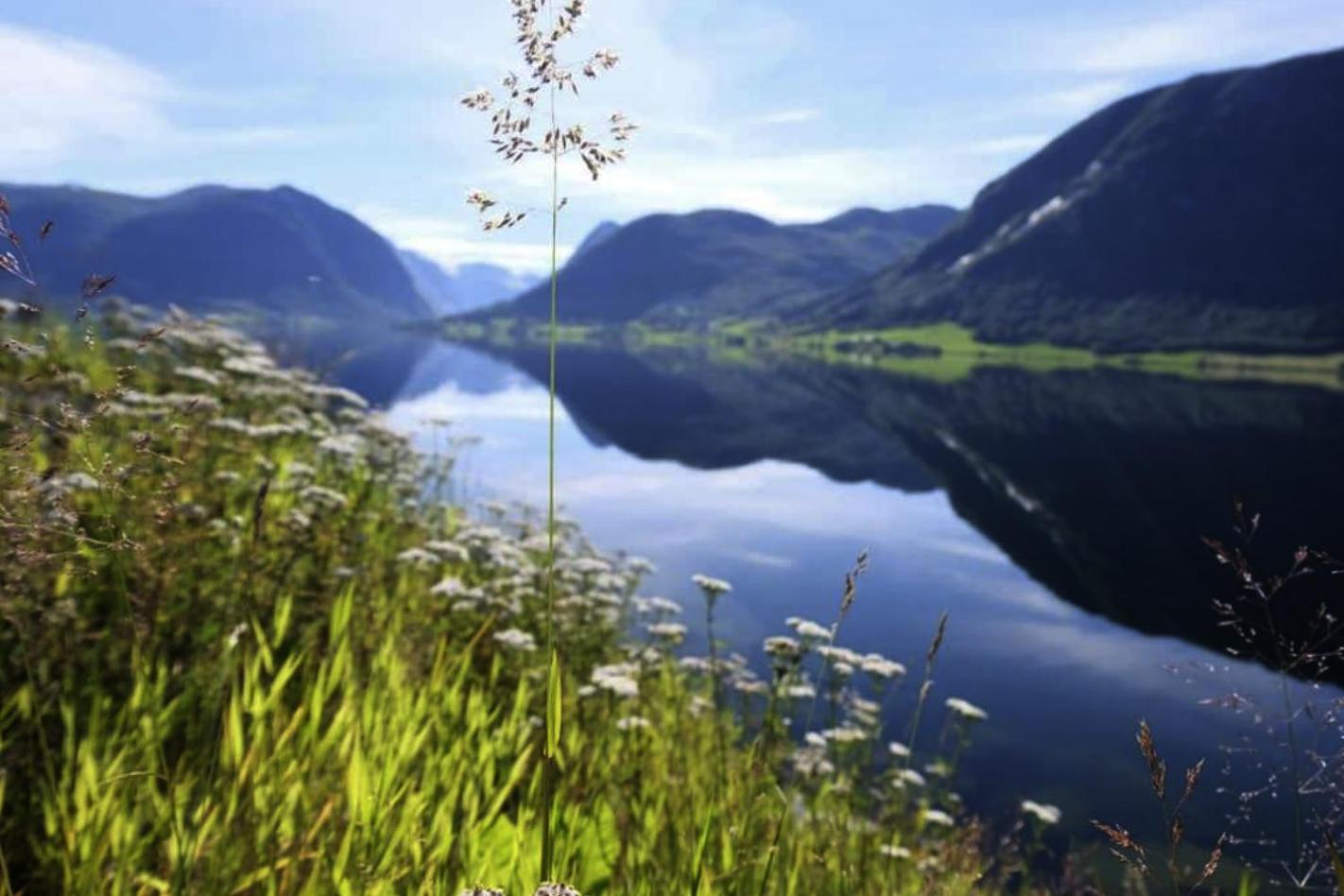 Jolster Lake View Ardal  Экстерьер фото